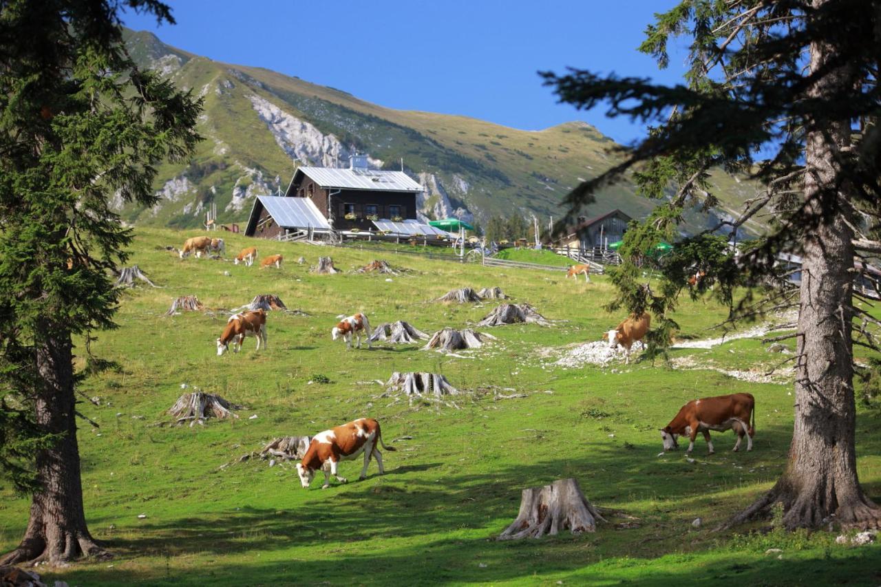 Glamping Mountain Fairy Tale Villa Bistrica pri Trzicu Kültér fotó